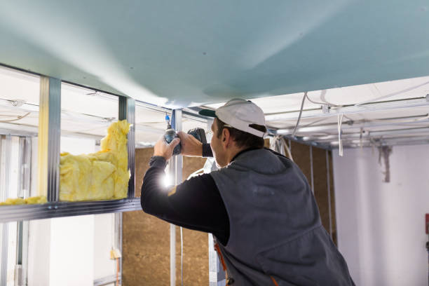 Best Insulation Installation Services in Pinewood, FL